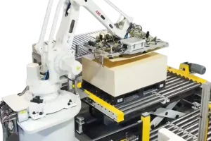 automated-feeding-picking-systems-mesh-automation-1-1024x970-removebg-preview